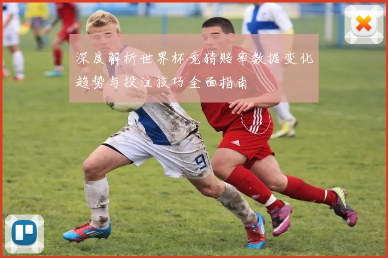 深度解析世界杯竞猜赔率数据变化趋势与投注技巧全面指南