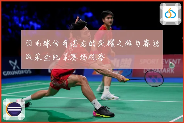 羽毛球传奇谌龙的荣耀之路与赛场风采全纪录赛场观察