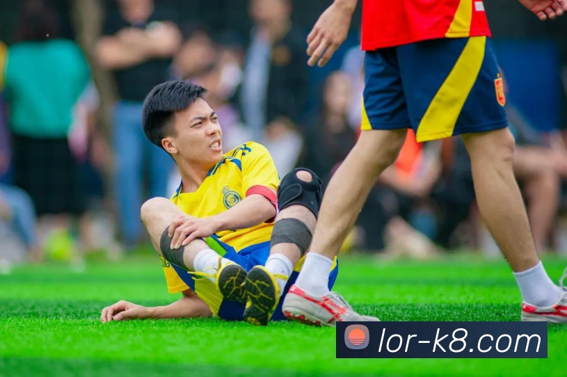 凯发娱乐平台展示图